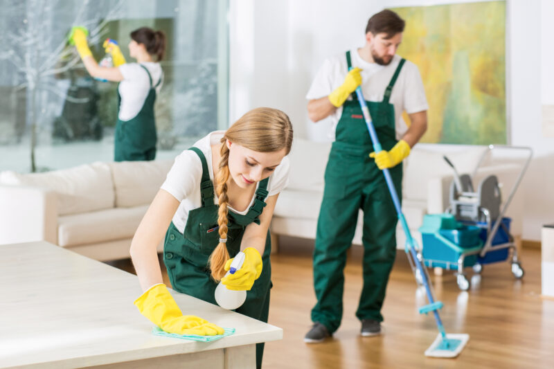 Cleaning,Service,With,Professional,Equipment,During,Work